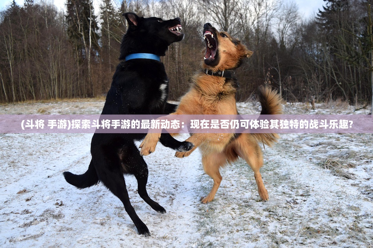 (斗将 手游)探索斗将手游的最新动态：现在是否仍可体验其独特的战斗乐趣?