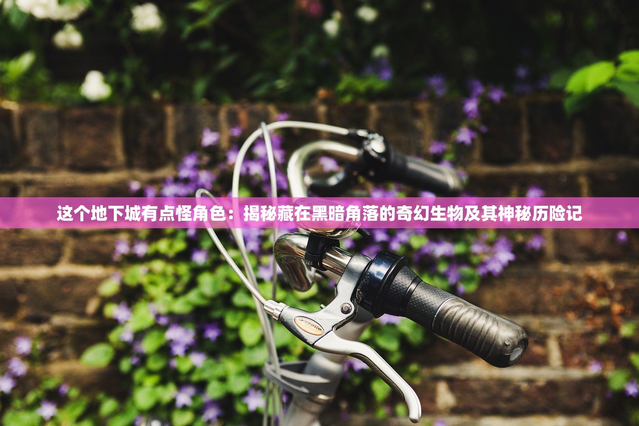这个地下城有点怪角色：揭秘藏在黑暗角落的奇幻生物及其神秘历险记