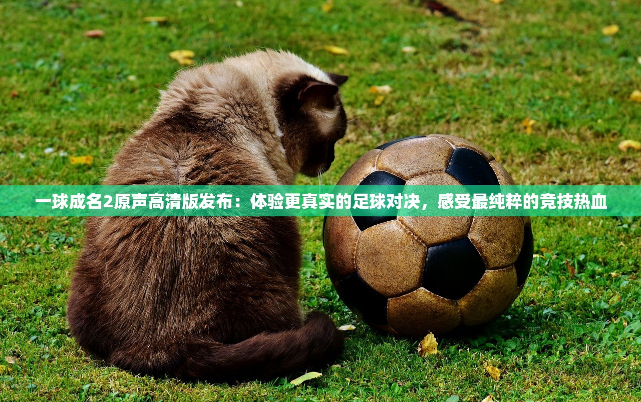 一球成名2原声高清版发布：体验更真实的足球对决，感受最纯粹的竞技热血