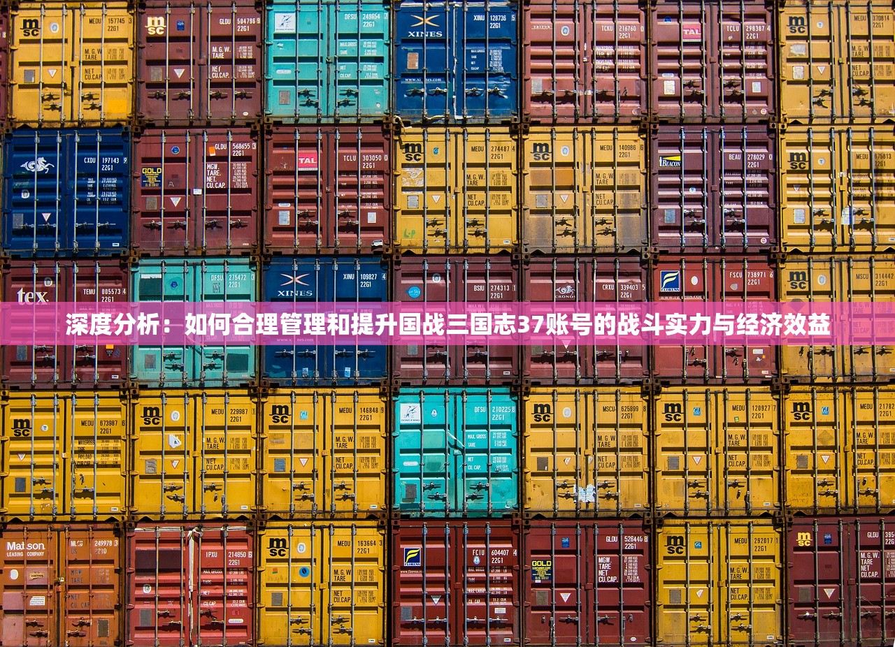 深度分析：如何合理管理和提升国战三国志37账号的战斗实力与经济效益