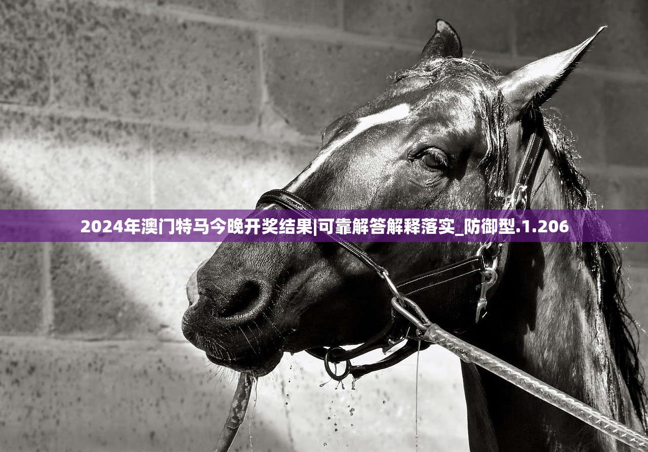 2024年澳门特马今晚开奖结果|可靠解答解释落实_防御型.1.206