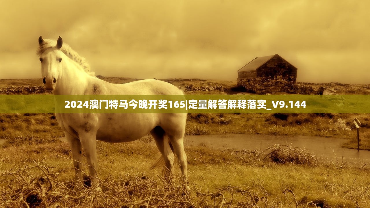 2024澳门特马今晚开奖165|定量解答解释落实_V9.144