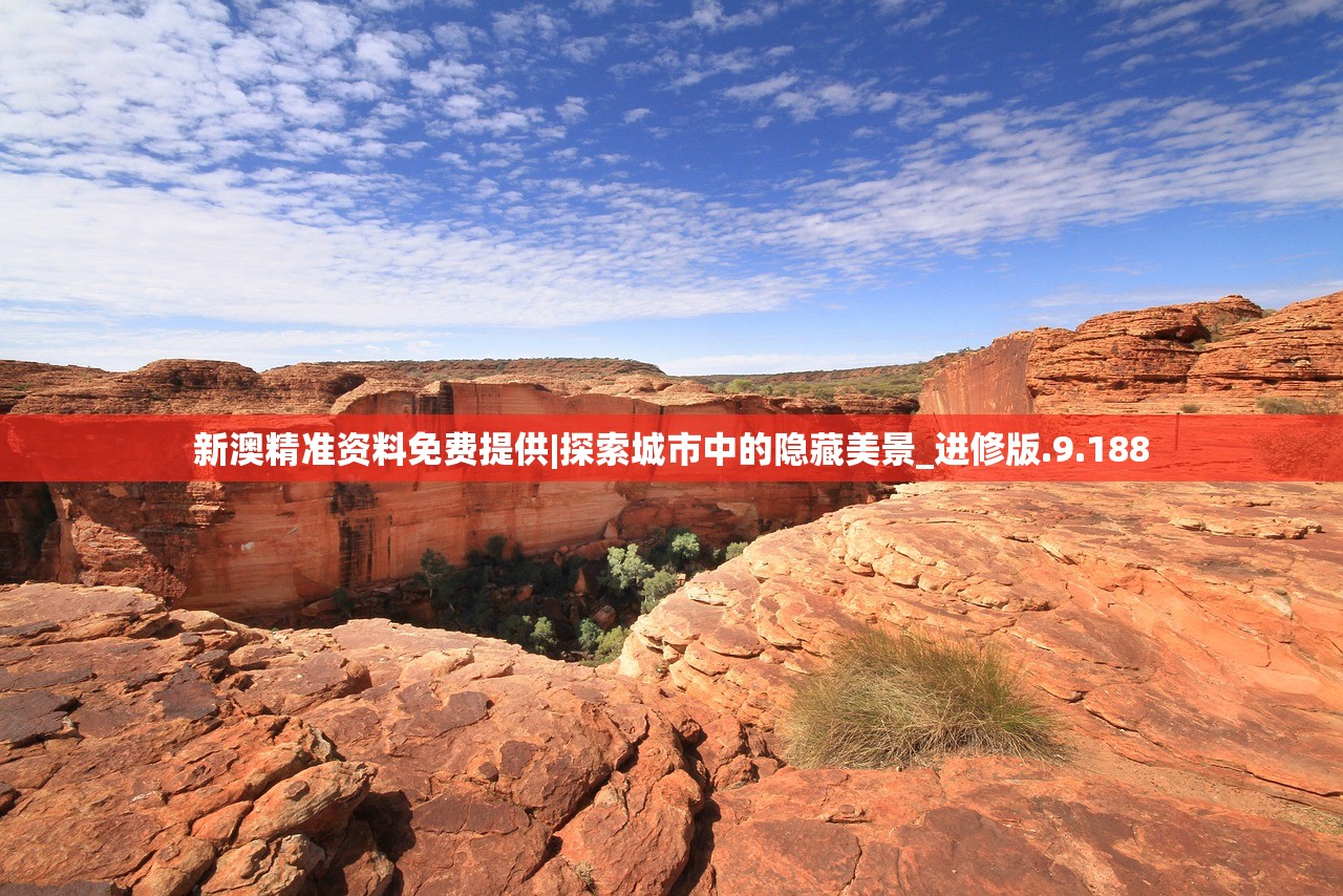 (洼组词有哪些)探索洼的奥秘，洼组词与多元应用分析