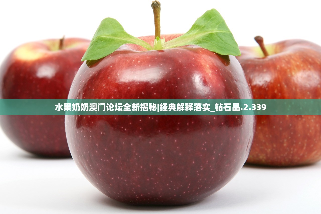 (通天三国志5.0破解)通天三国志5.1，深度解析与多元视角探讨