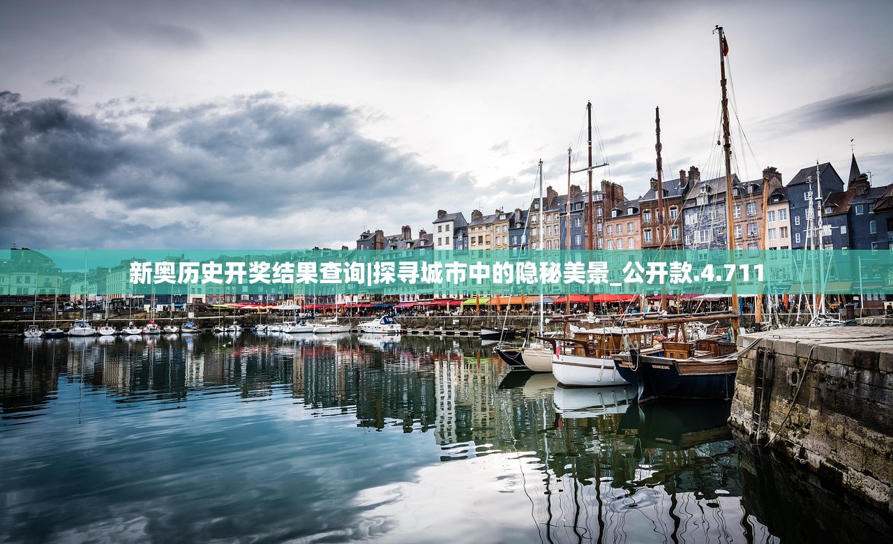(一起来跳舞熊出没老版)一起来跳舞，熊出没中的动感旋律与多元魅力