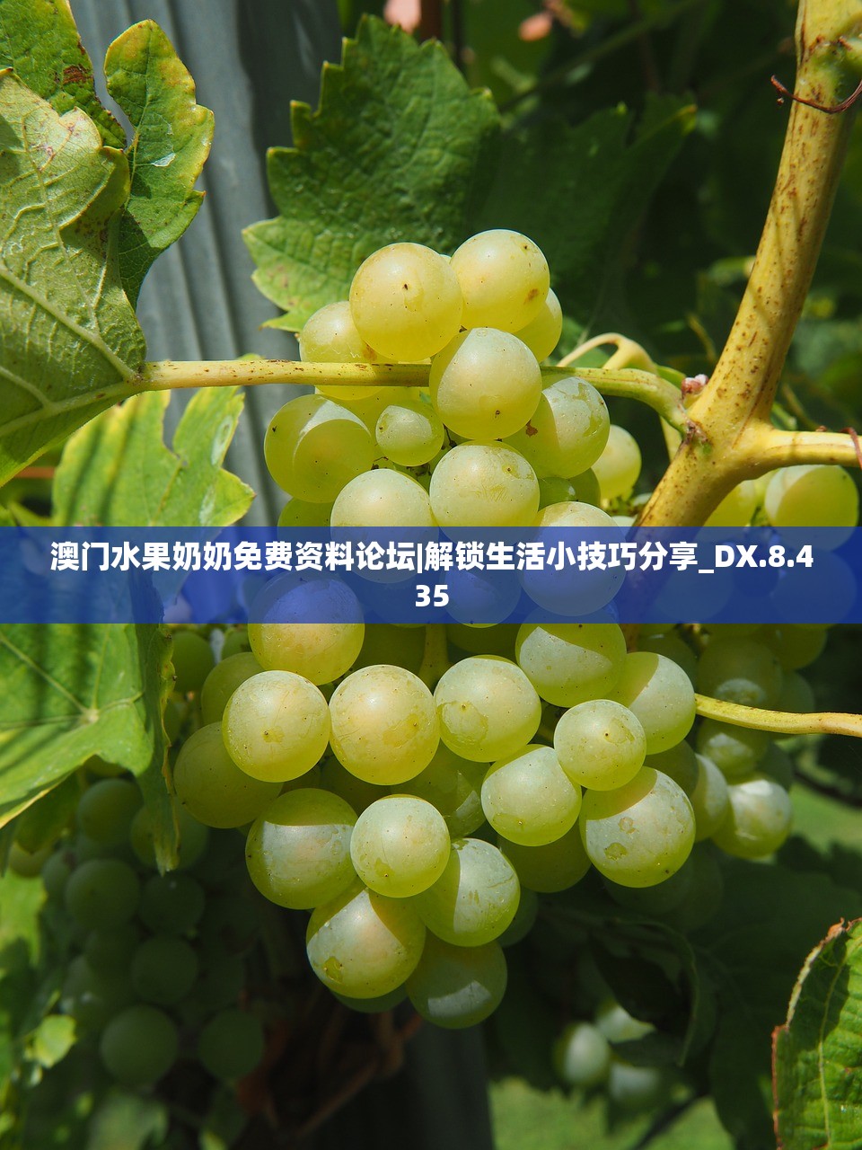 (收费站模拟器免广告破解版)收费站模拟器游戏，免广告畅享体验