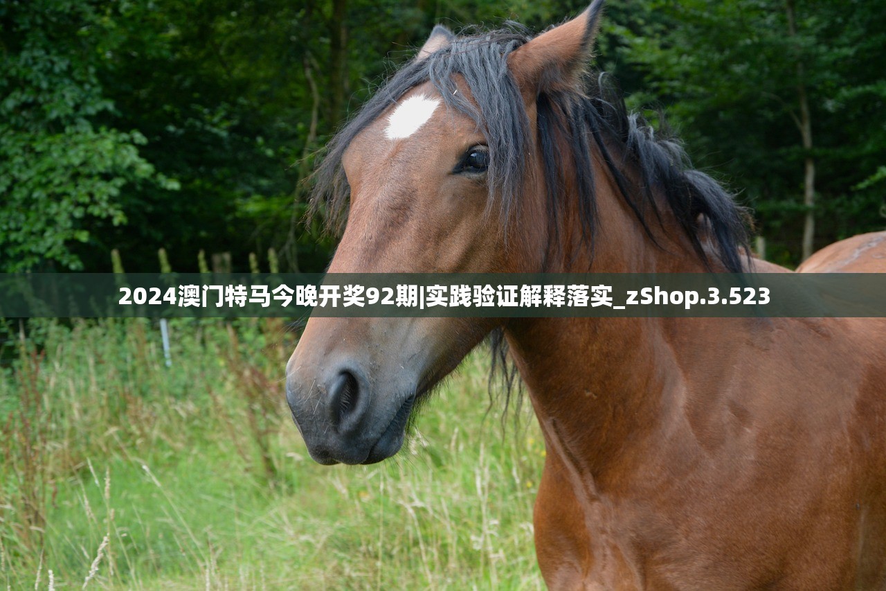 (斯露德下载)斯露德B服安装包，下载、安装与常见问题解答