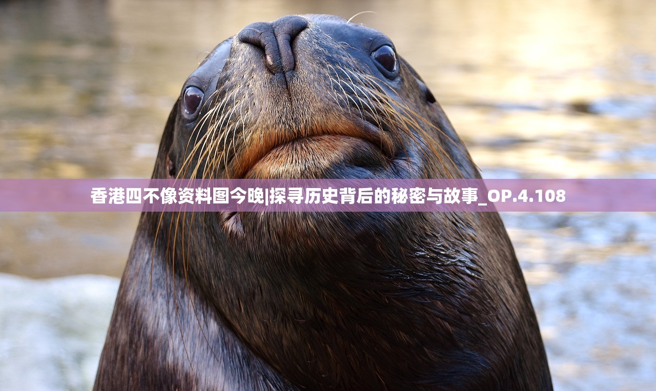 (金庸群侠传2贺岁版武当)金庸群侠传2加强版攻略武当，掌握秘籍，成为武林高手