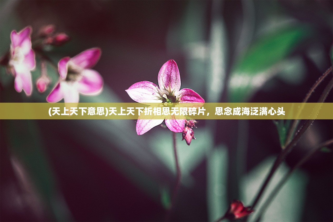 (龙魂创世免费版阵容)龙魂创世免费版，探索虚拟世界的无限可能