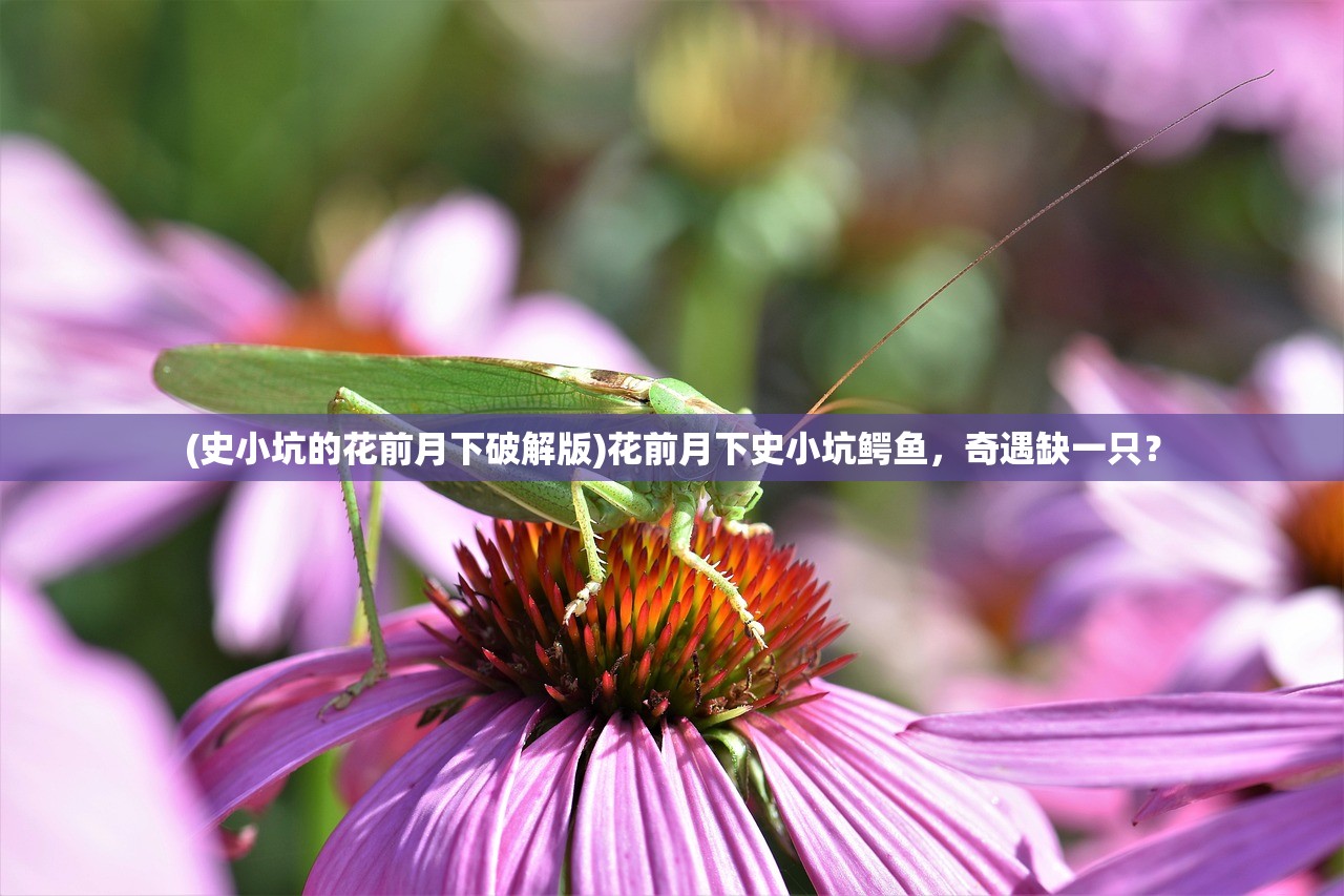 (钢铁雄心4中文版教程下载)钢铁雄心4中文版教程及常见问题解答