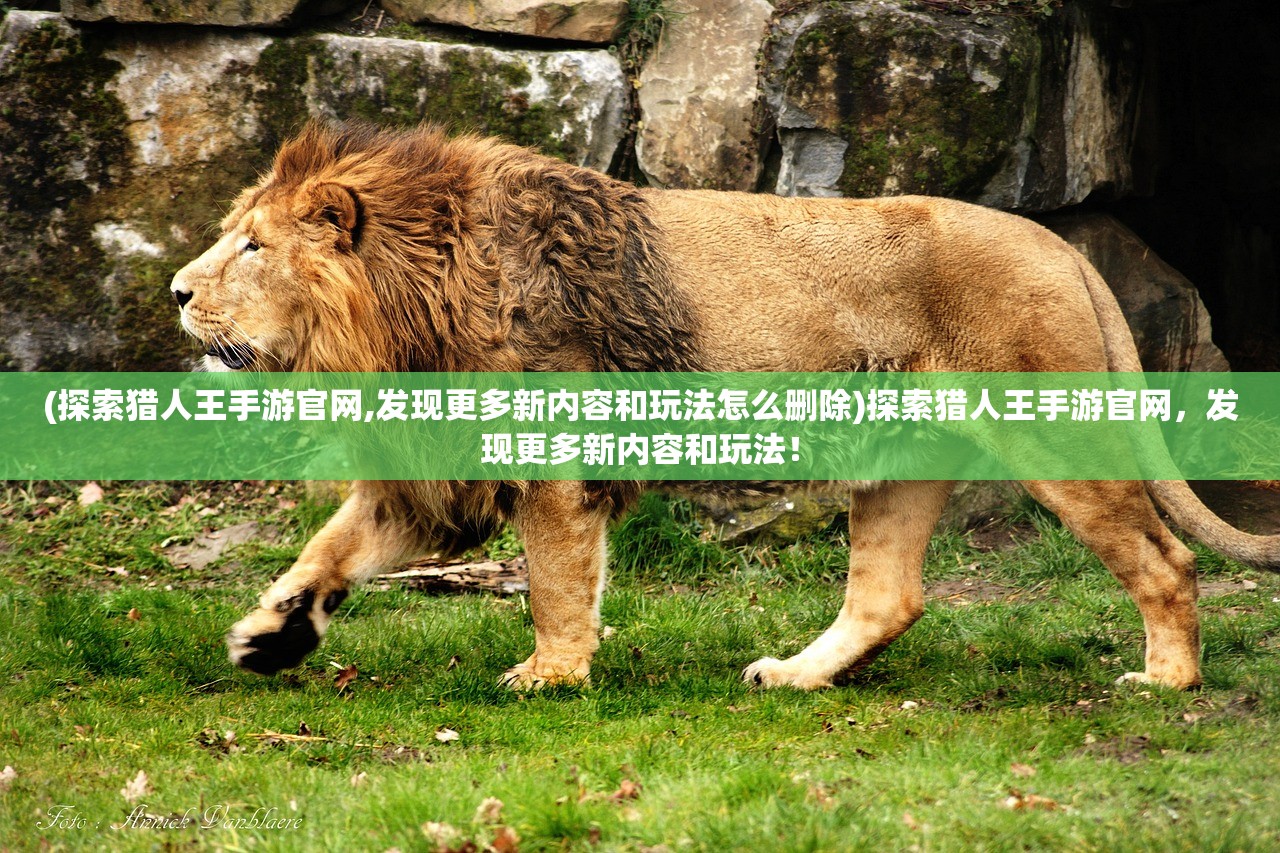 (龙迹之城攻略大全下载)龙迹之城全面攻略大全及常见问题解答