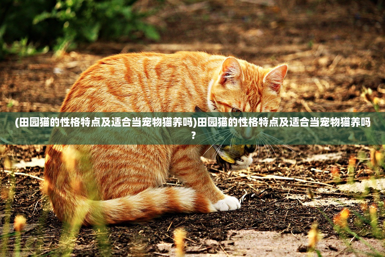 (三国列传下载)三国列传，英雄辈出与时代变迁
