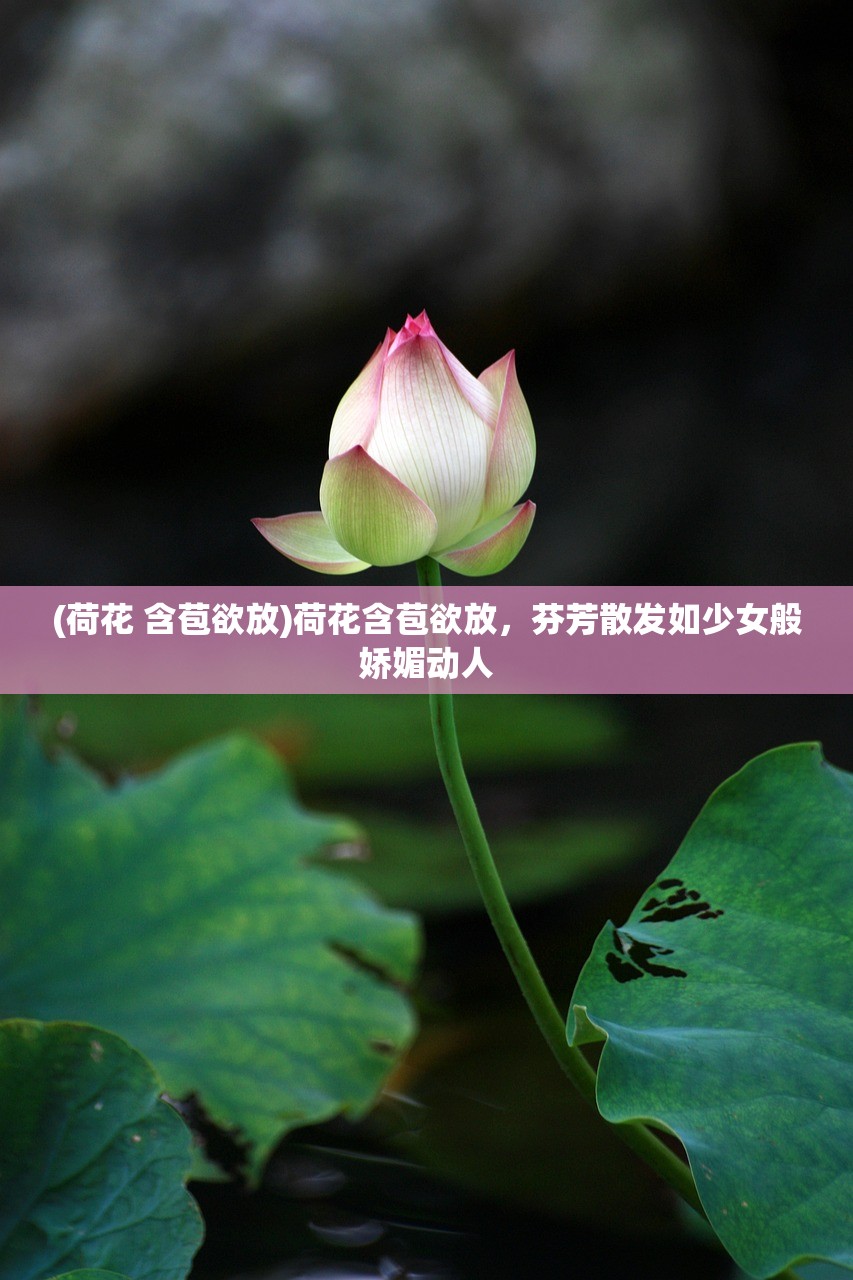 (万相之王最新章节)万相之王，探寻多元宇宙中的无尽奥秘