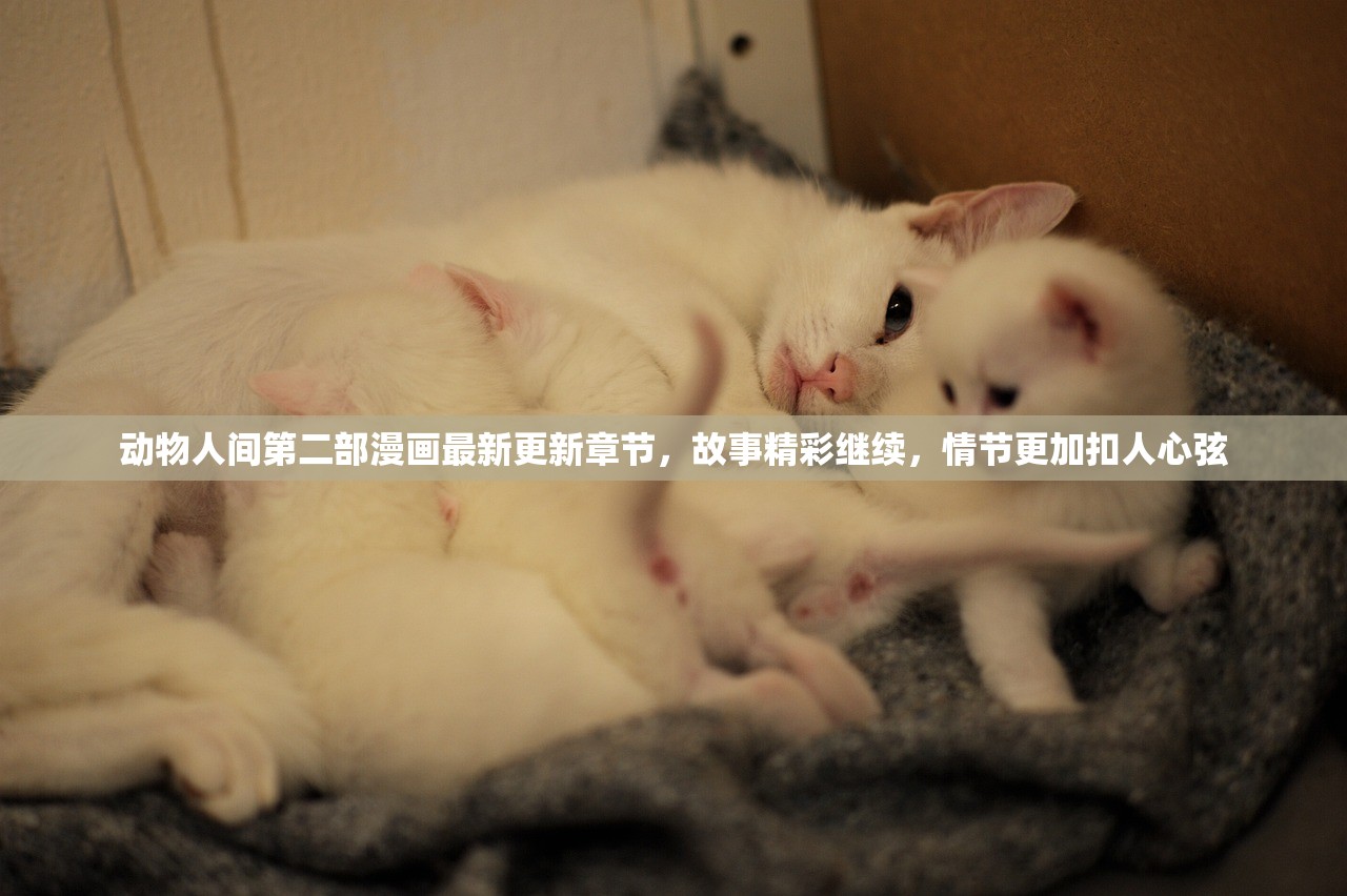 (行走大师官方正版无广告)行走大师官方正版，游戏探索与常见问题解答