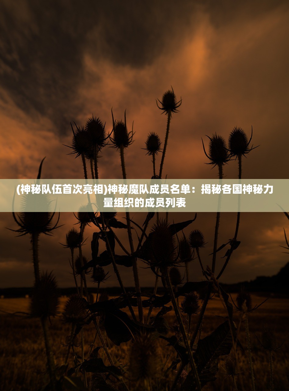 (魔兽rpg天谕幻雪攻略)幻谕手游，奇幻世界的探索与体验