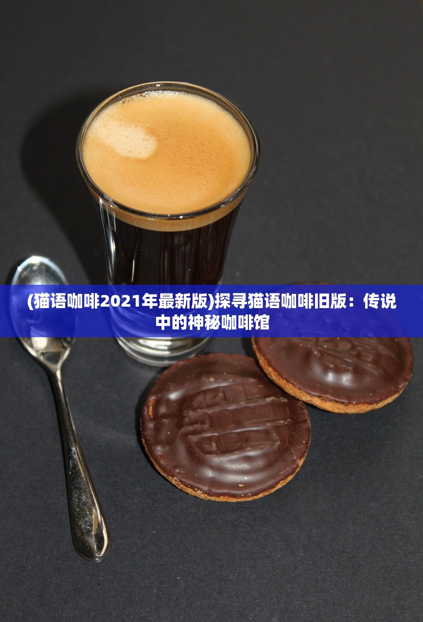 (冒险王之精灵物语法师)冒险王之精灵物语，一场奇幻的冒险之旅