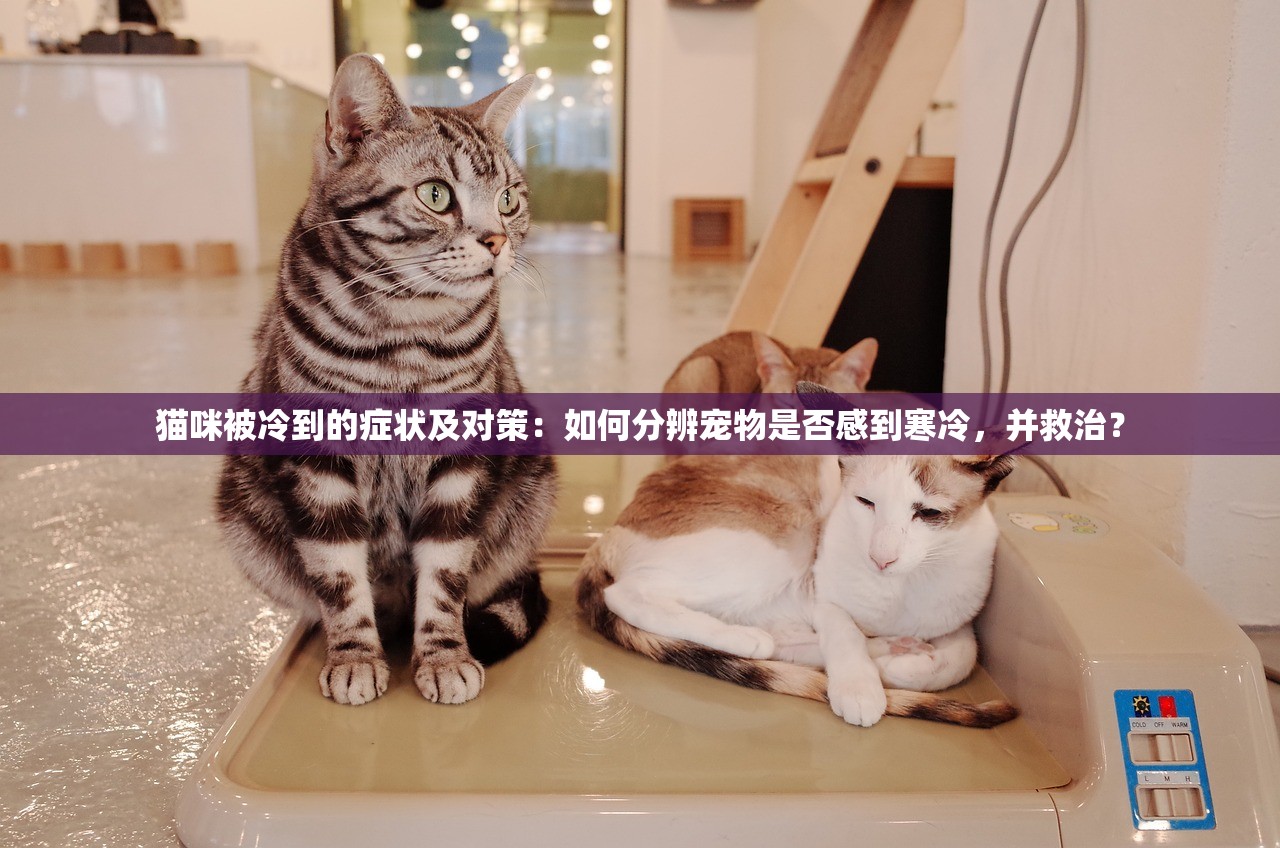 (魔斗战境游戏官网)魔斗战境游戏，深度探索与常见问题解答