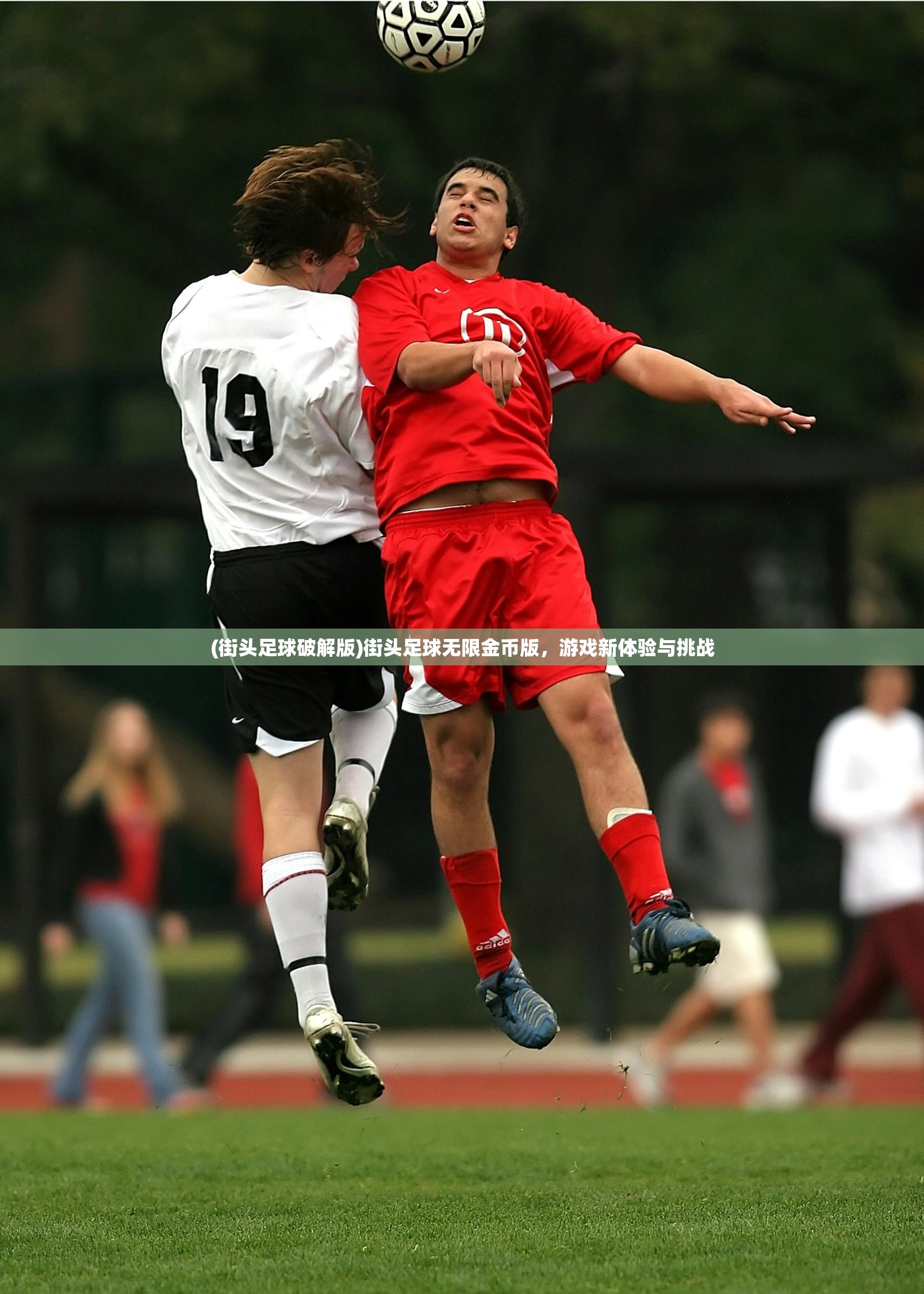 (植物大战僵尸2破解版全5阶植物无限钻石2023最新)植物大战僵尸2破解版全5阶植物无限钻石2023，游戏解析与常见问题解答