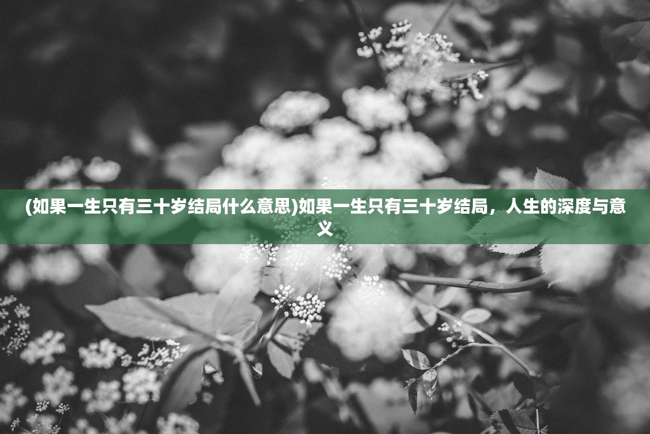 (逍遥梦路 笔趣阁)逍遥梦路笔趣阁无广告，探索阅读的新境界