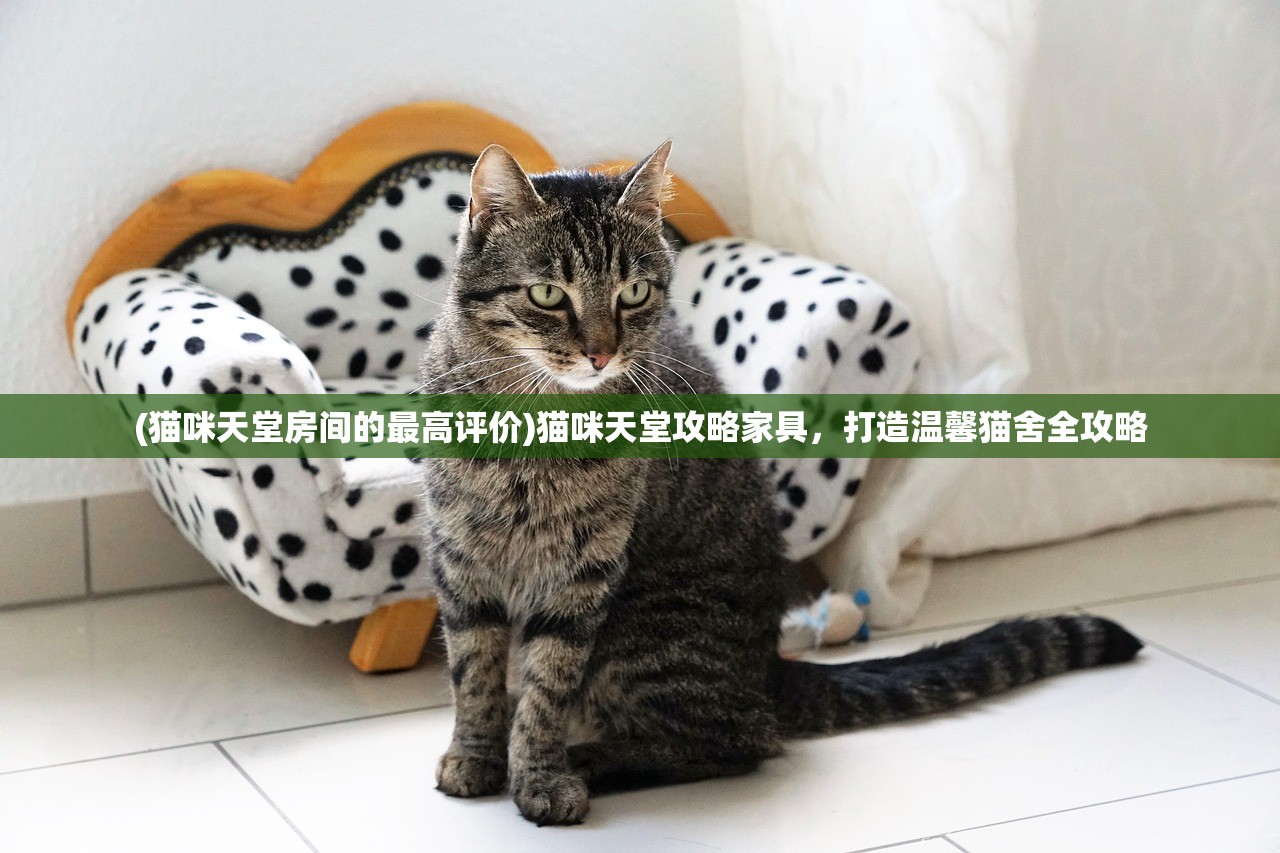 (商店英雄合成攻略)商店英雄合成表2023最新版详解及常见问答