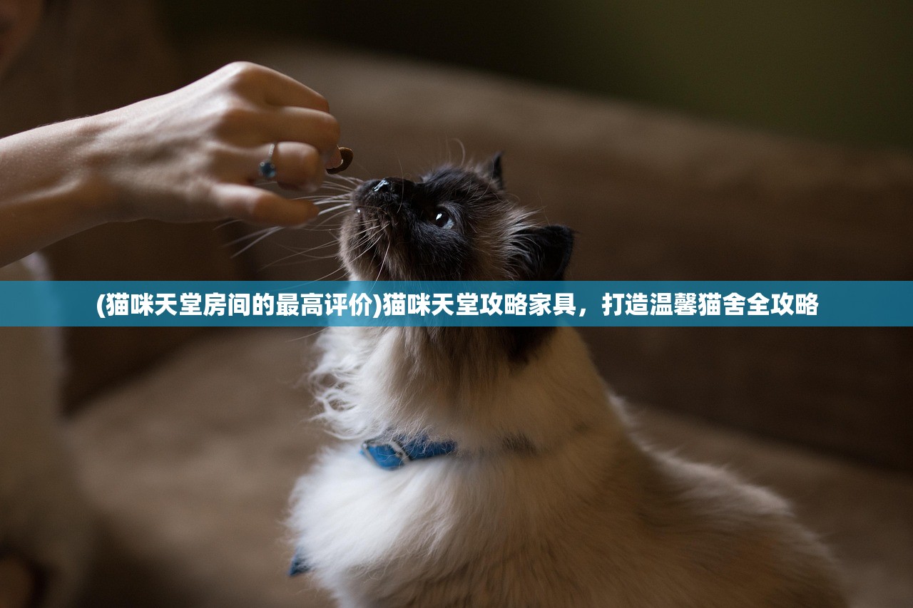 (境界斩魂之刃攻略图文)境界斩魂之刃攻略大全及常见问题解答