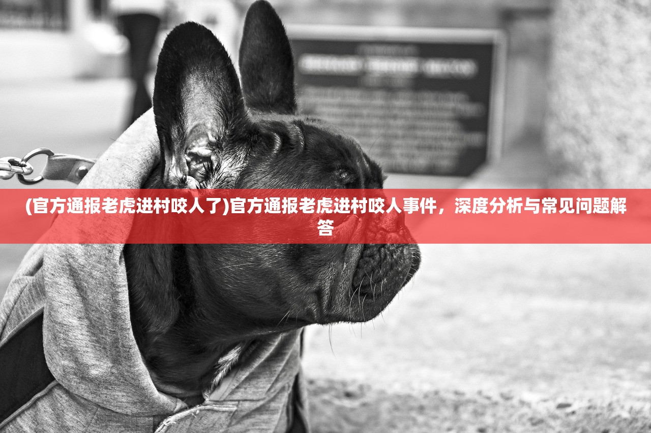 (天衍录cg)天衍录配方一览表及其深度解析