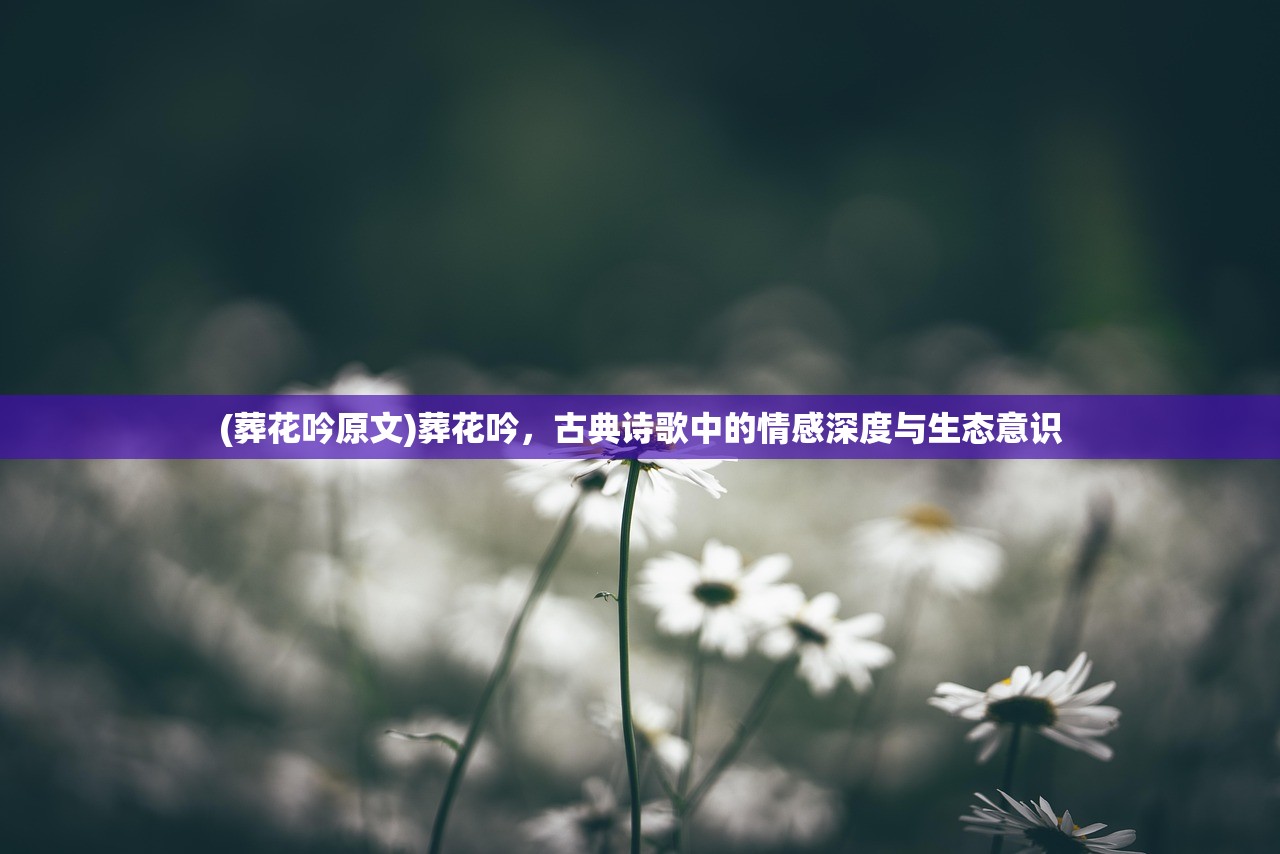 (我的天赋属性)TapTap我的游戏天赋，探索游戏世界的无限潜能