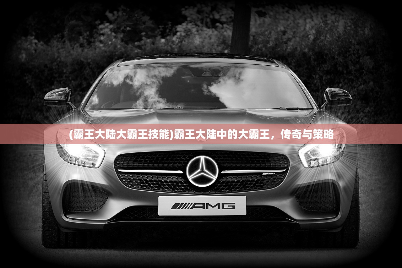 (龙骑士传说完美图文攻略免费下载)龙骑士传说完美图文攻略及常见问题解答