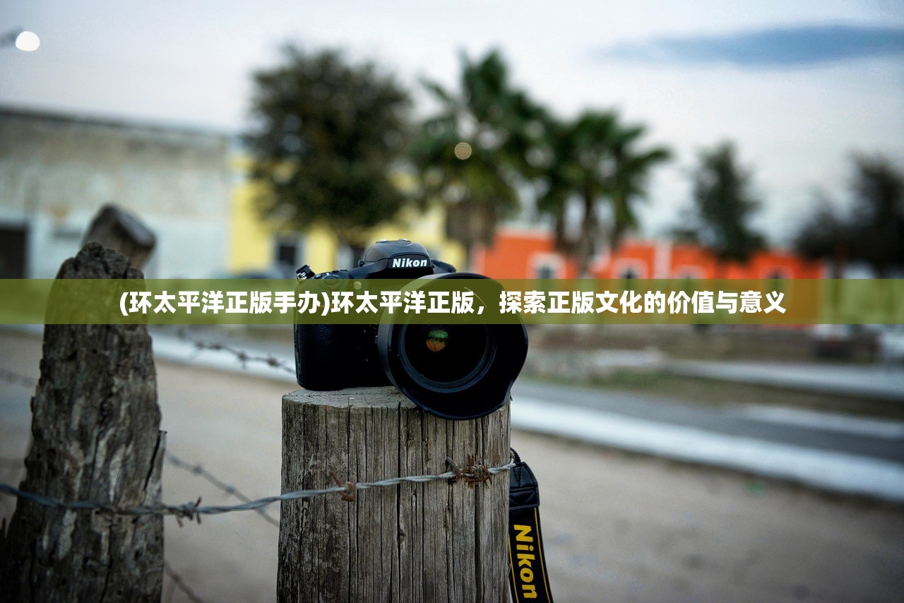 (炼气化神炼神反虚)炼神反虚，探索精神修炼与虚实之间的奥秘