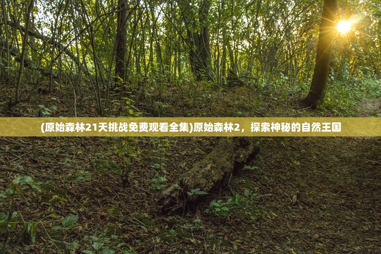 (追梦之旅作文800字初中生)追梦之旅作文，探索梦想的旅程