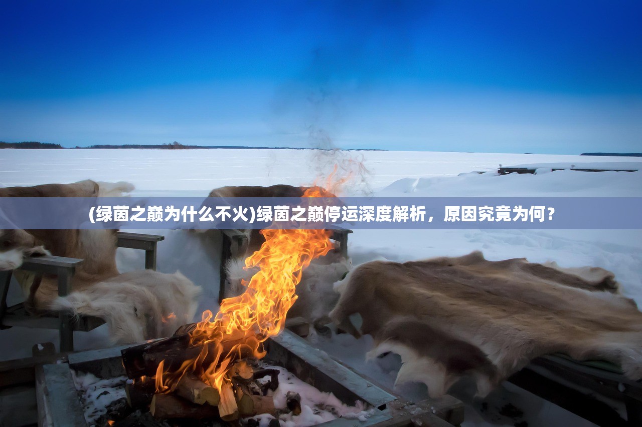 (幻影之剑怎么使用)幻影之剑的使用指南与常见问题解答