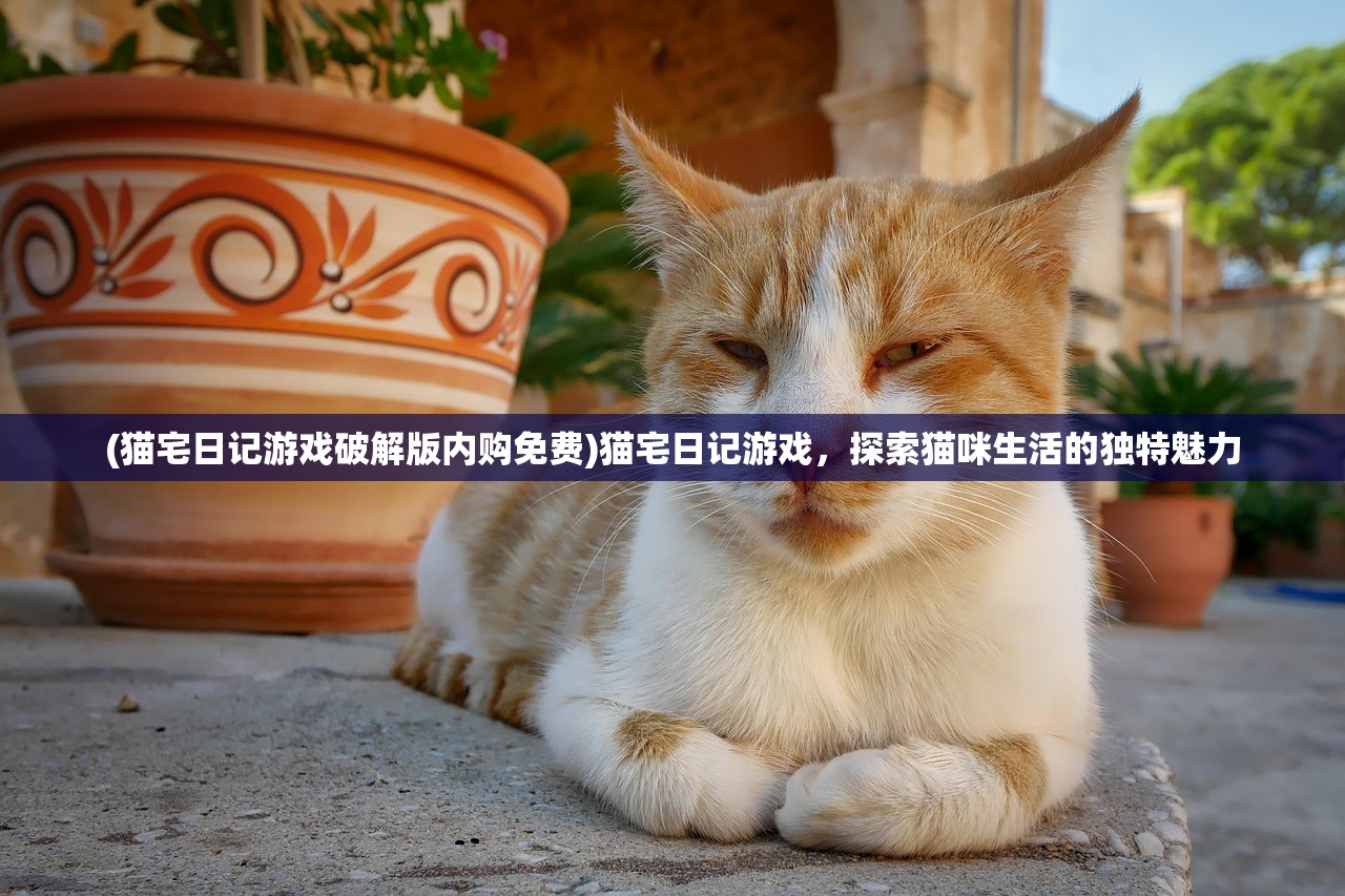 (阿朱去少林寺盗取什么时身受重伤)阿朱潜入少林寺揭秘武林秘籍之谜