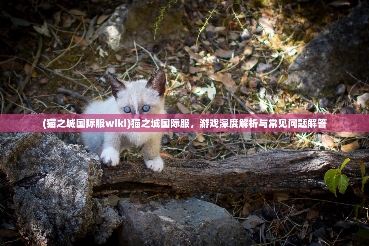 (这里有间酒馆)有间酒馆四月橙，一场醉人的邂逅与独特体验