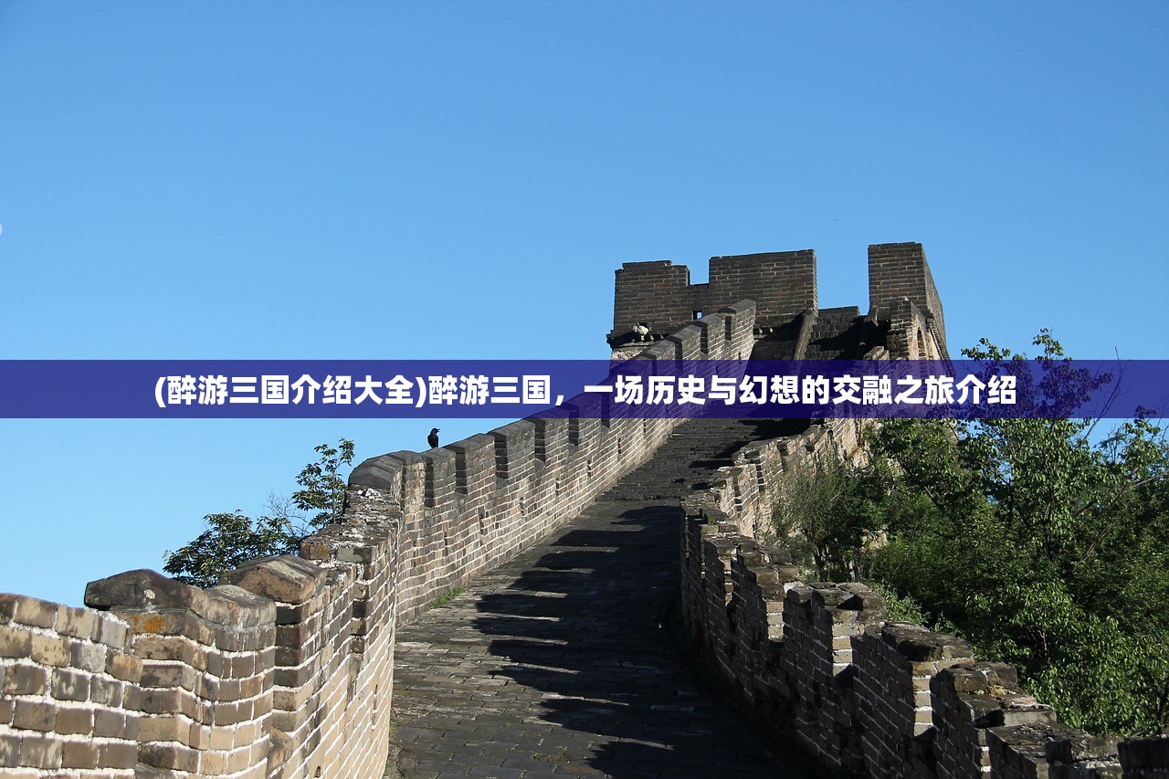 (列王的纷争西部大陆视频)列王的纷争西部大陆全面攻略及常见问题解答