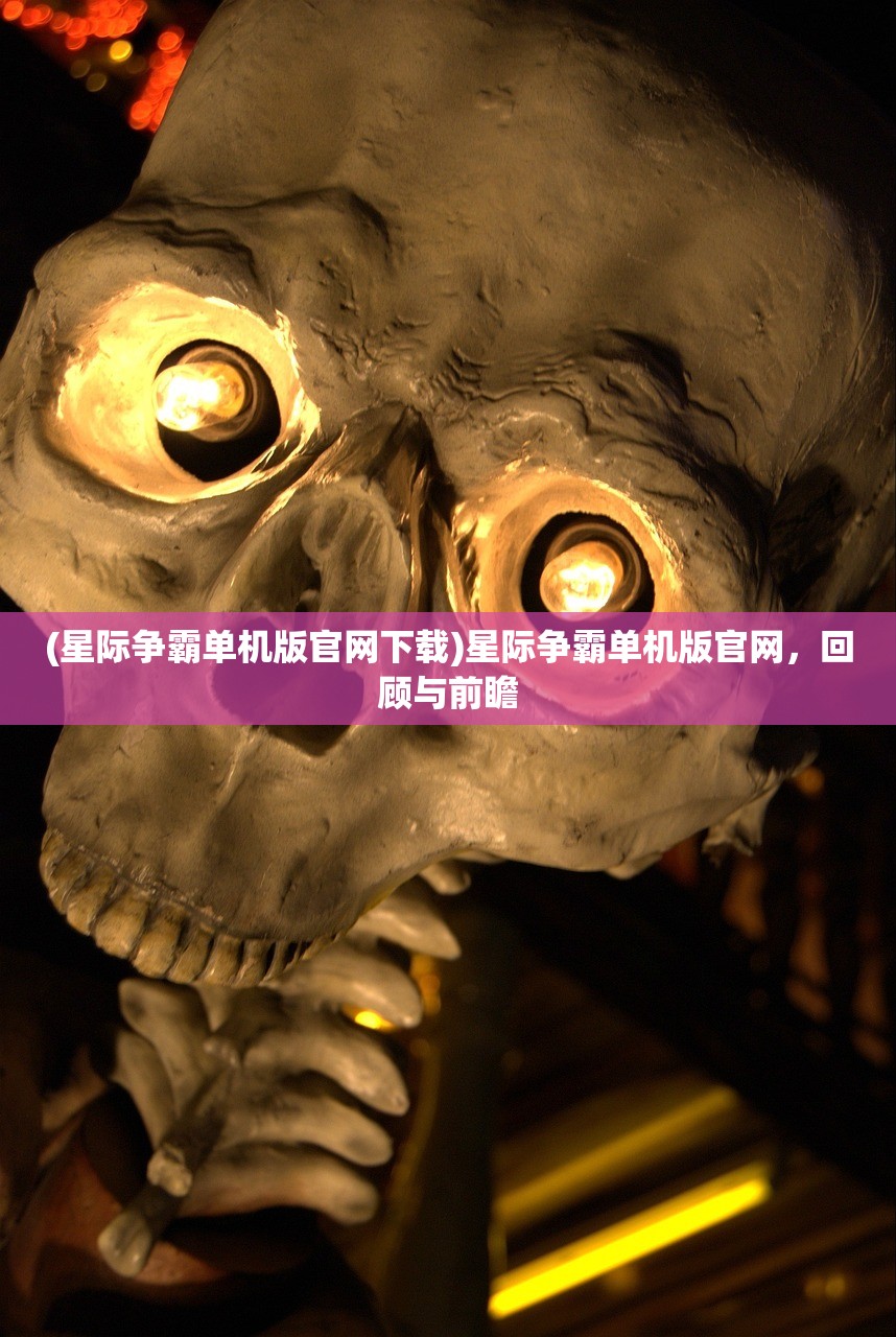 (霸王之业之幕府野望资源表)霸王之业之幕府野望，战国时代的策略与决策