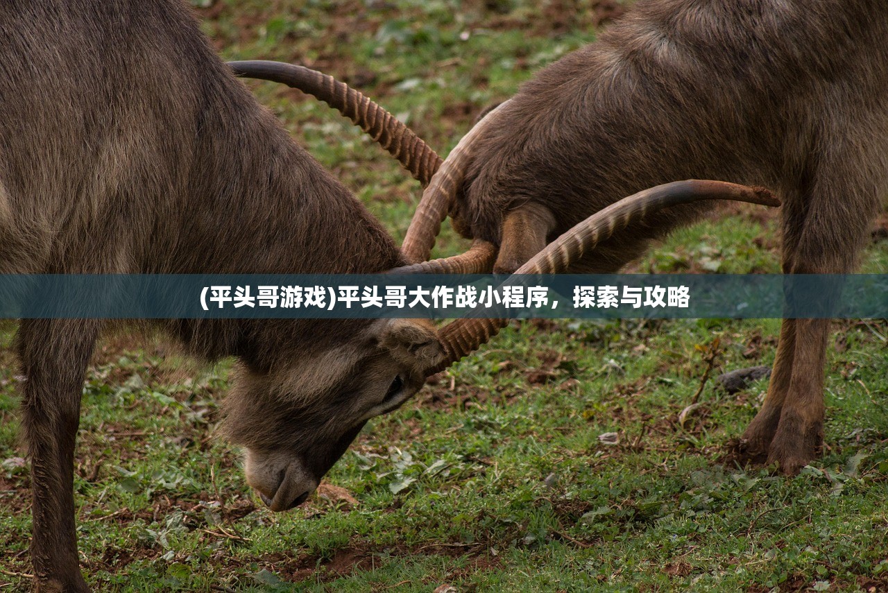 (三国猛将传7秘武6攻略大全)三国猛将传7，秘武探秘