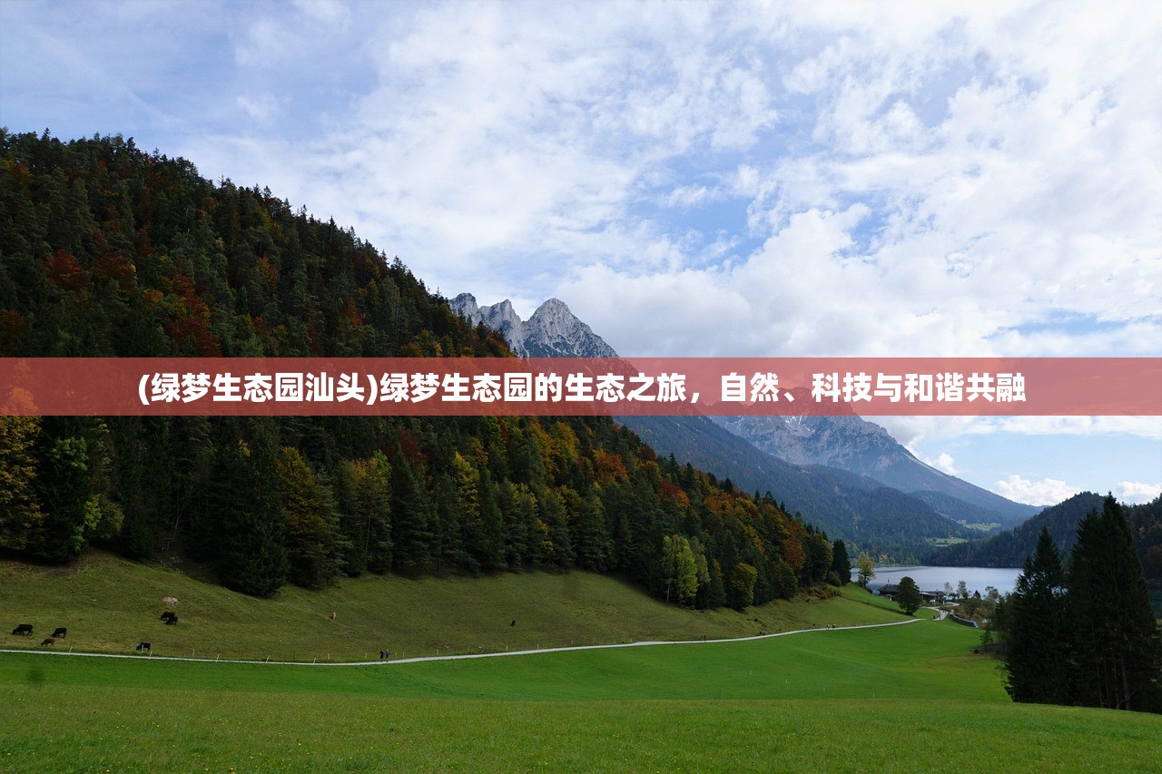 (宝石研物语好玩吗)宝石研物语停运深度解析,原因何在? (宝石研物语好玩吗)宝石研物语停运深度解析,原因何在?