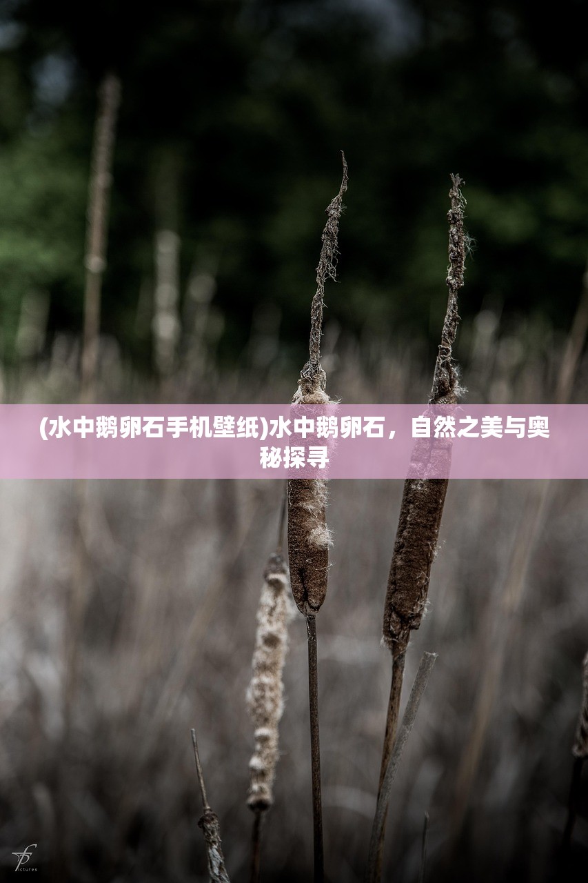 (封神让你代理)封神让我来阵容，策略搭配与深度解析