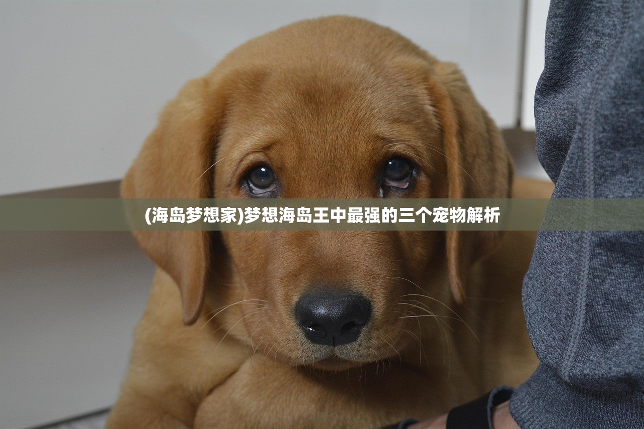 (2024年天庭重新封神是真的吗)揭秘未来,2024年天庭重新封神预言探索 (2024年天庭重新封神是真的吗)揭秘未来,2024年天庭重新封神预言探索