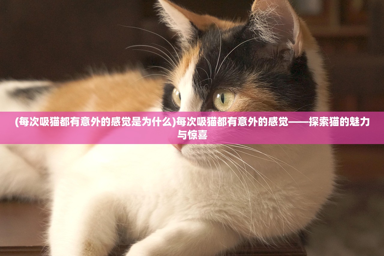 (江湖群英传电视版官网)江湖群英传，电视上能否再战江湖？