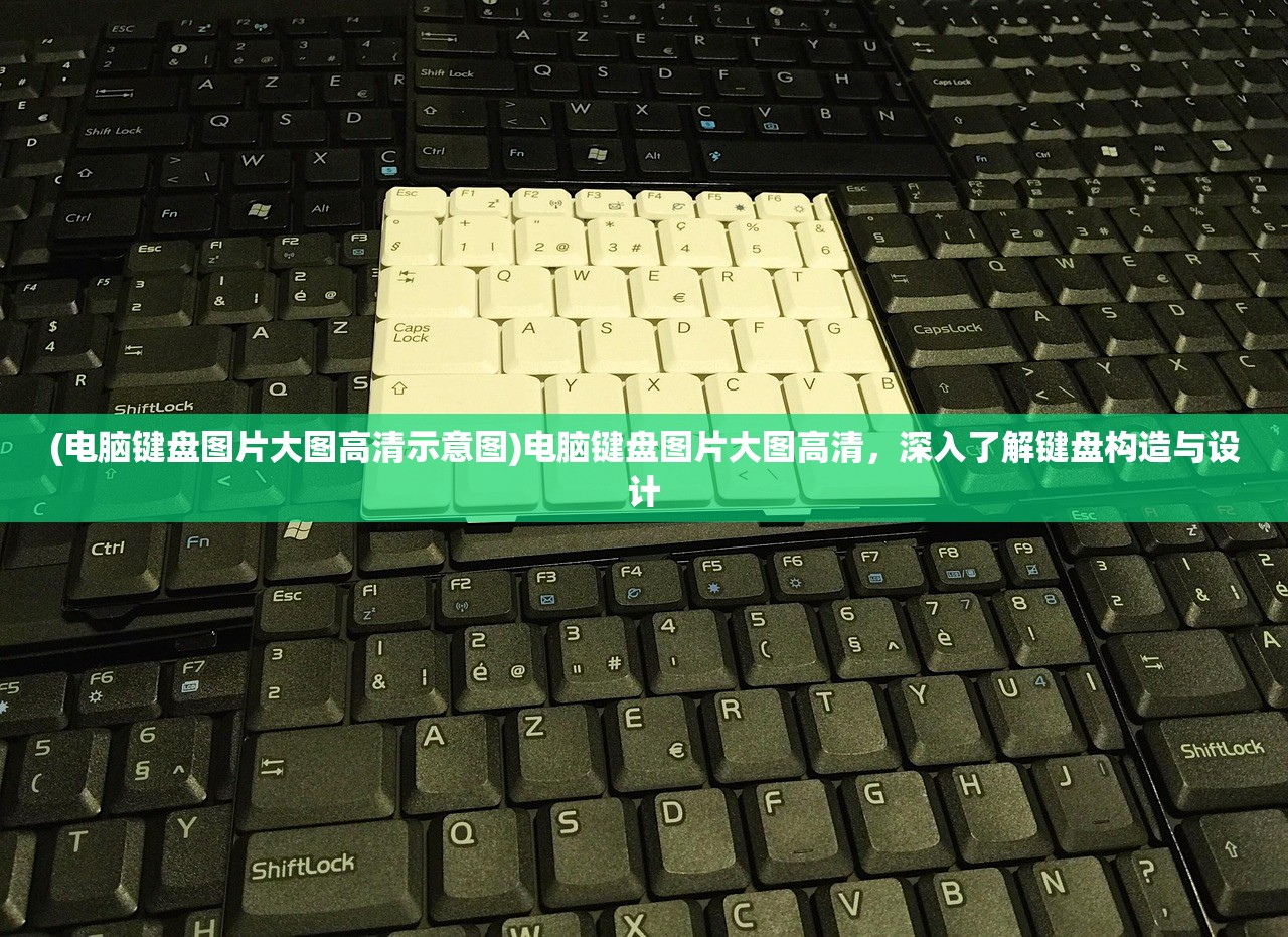 (上古卷轴刀锋卫士追随者)上古卷轴刀锋卫士，守护世界的勇士传奇
