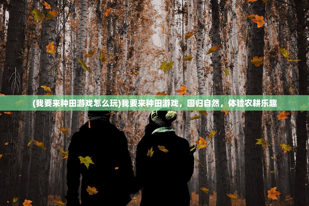 (乱戳三国商城版蜀国阵容)乱戳三国商城版，深度解析与常见问题解答