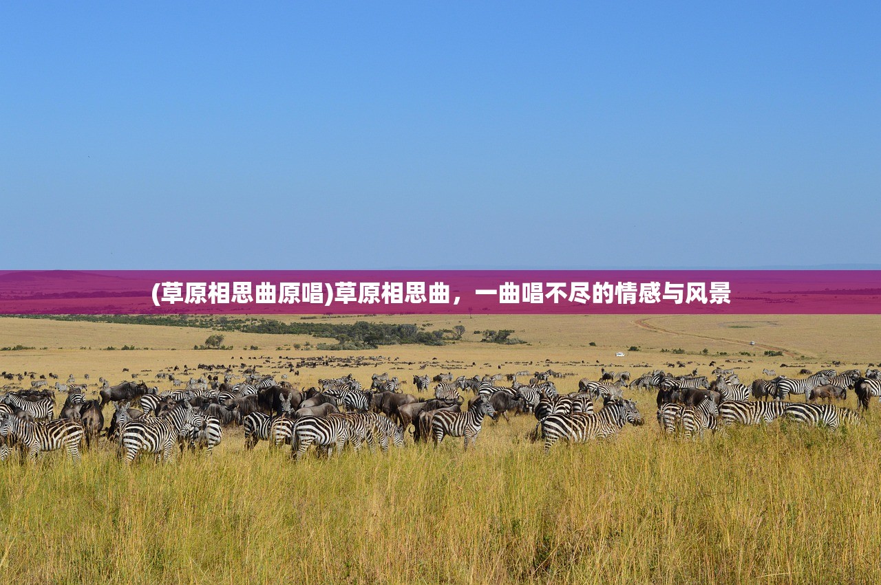 (落银城怎么玩)落银城全面攻略，探索未知，挑战极限！
