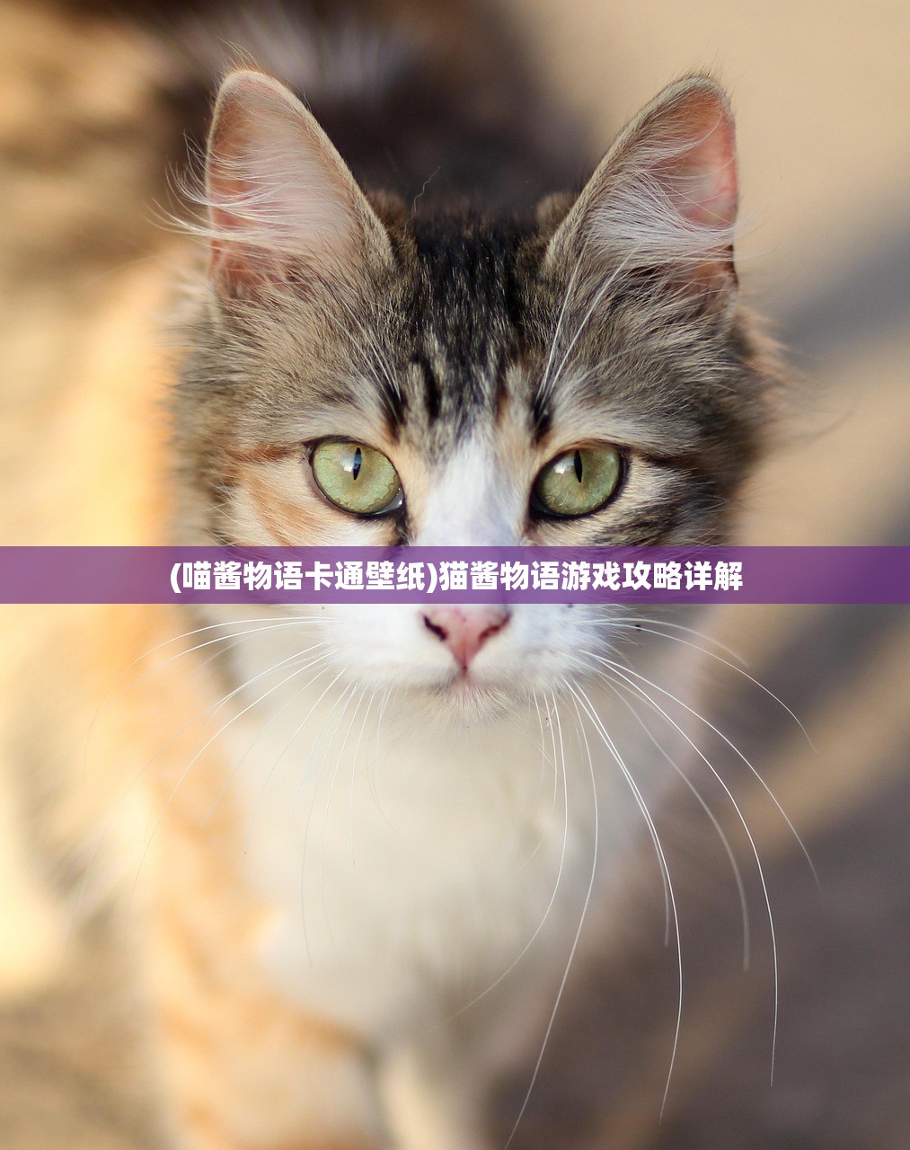 (天上白玉京十二楼五城全诗翻译)天上白玉京十二楼五城，探寻古诗中的神秘仙境与深层寓意