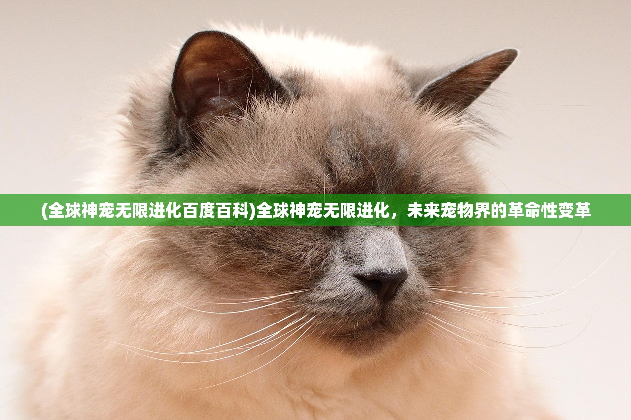 (艾莉同学手游官方)艾莉同学手游，游戏内容与玩家体验解析