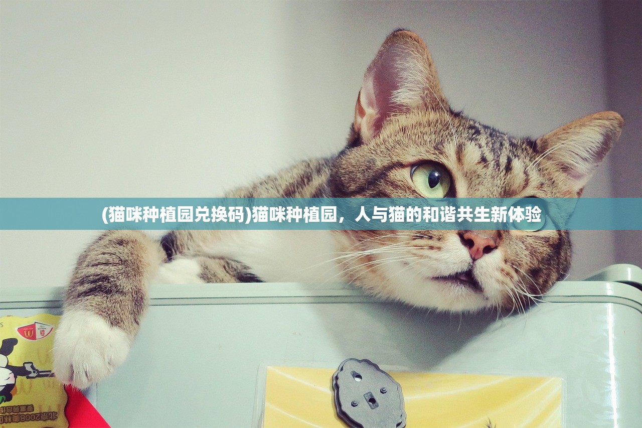 (传奇琼斯大幅增持比特币多少)传奇琼斯大幅增持比特币，引领新一轮加密货币热潮？