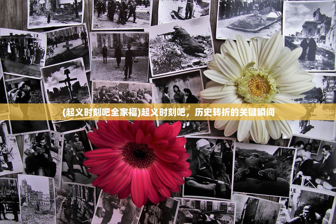 (风车之家中西复合餐吧怎么样)风车之家牛排，独特的味觉体验与背后的故事