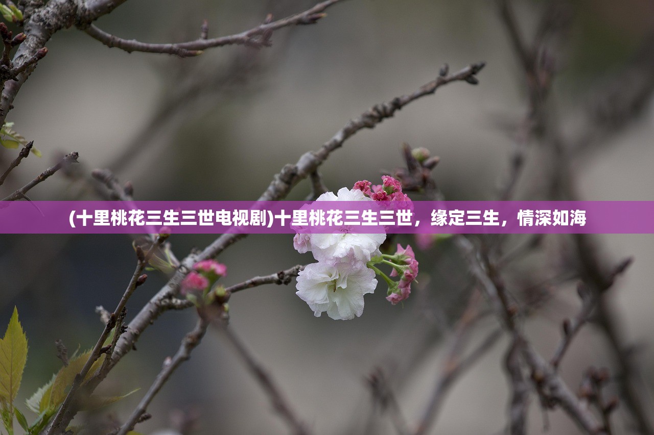 (阴阳师 事务所)阴阳师事务所，神秘的东方文化下的职业探索