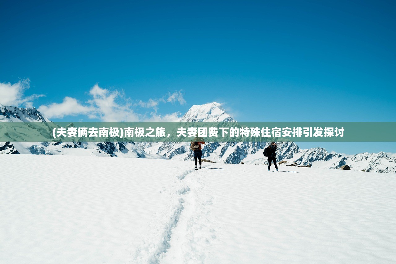 (装甲纷争2025年最新版)装甲纷争，一场战略与战术的较量