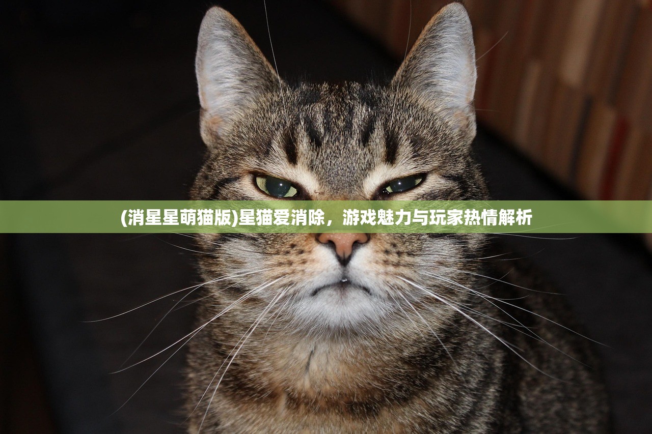 (三国诛将录一再推迟)三国诛将录阵容推荐，策略性战斗组合指南